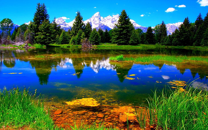 HD wallpaper: Nature Landscape Lake Green Vegetation Wallpapers Hd  3840×2400 | Wallpaper Flare