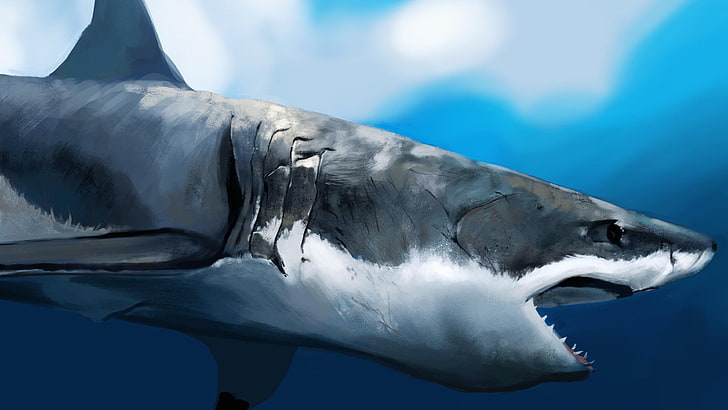 shark, artwork, painting, wildlife, great white shark, water, HD wallpaper