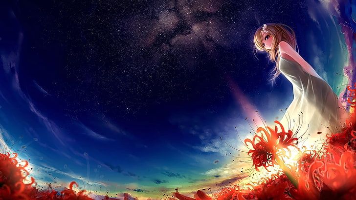 artwork, fantasy art, anime girls, field, sky, sunlight, stars