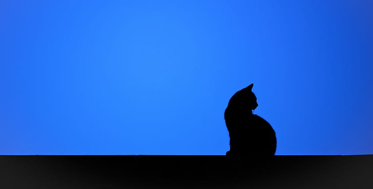 cat, animals, silhouette, mammals, blue, minimalism