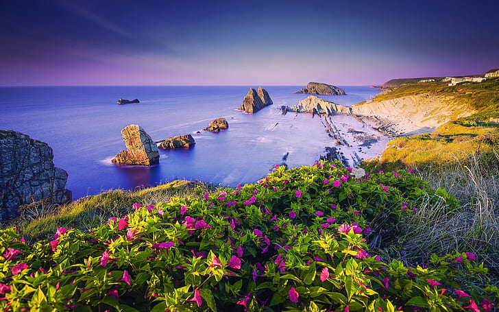 Costa Quebrada In Cantabria Spain Ocean Flowers Coast The Sea 4k Ultra Hd Wallpapers 2560×1600