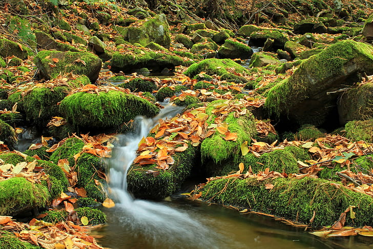 body of water between of green field, Pennsylvania, Clinton County, HD wallpaper