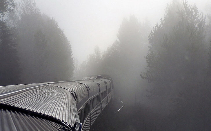 grey train, mist, vehicle, railway, gray, fog, tree, plant, nature, HD wallpaper