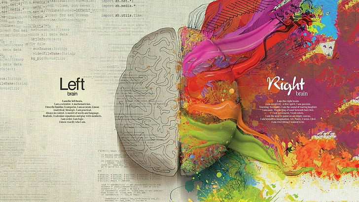 brain, creativity, splitting, painting, colorful, mathematics, HD wallpaper