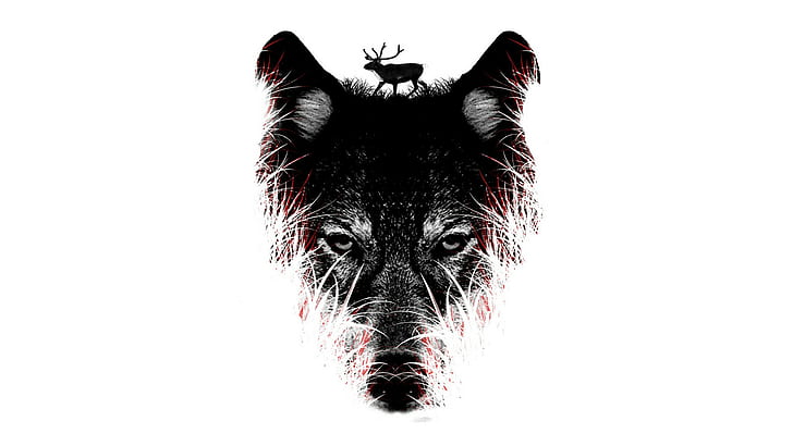 Wolf White HD, digital/artwork
