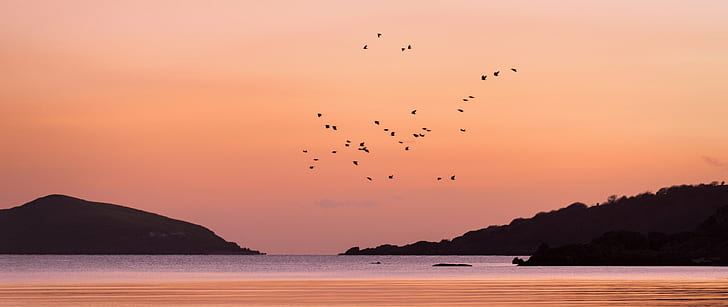 birds flying over sea with silhouette of mountain during sunset