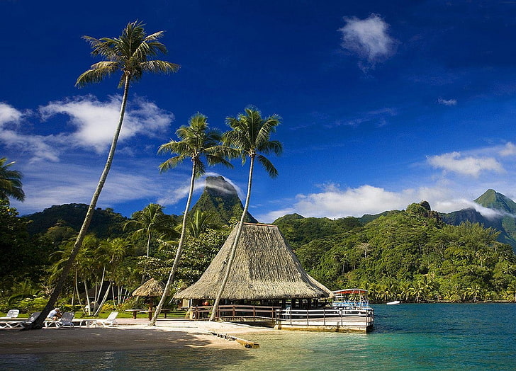 Tahiti, tropical, island, palm trees, mountains, beach, forest, HD wallpaper