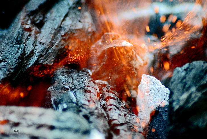 black charcoal, closeup photo of bonfire, macro, burning, sparks