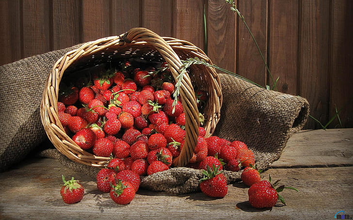 HD wallpaper: Strawberry Fruits HD, photography | Wallpaper Flare