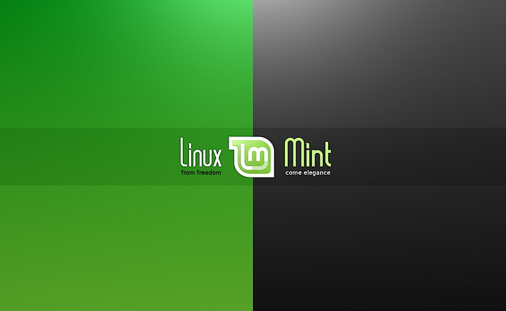 Linux Mint, black and green Linux Mint logo, Computers, linux from dom