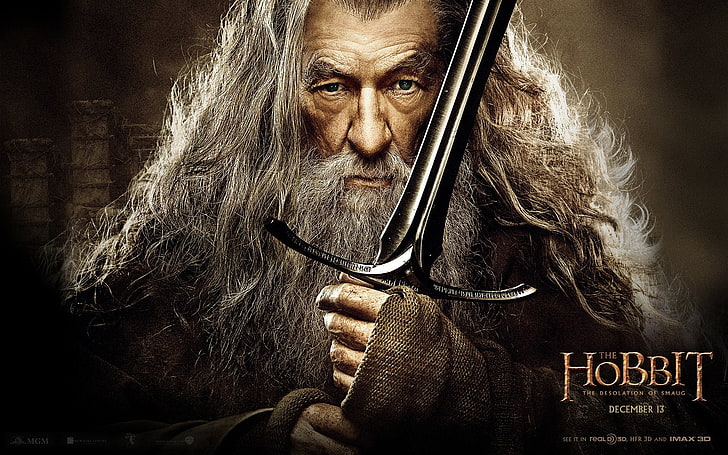 Movie, Gandalf, The Hobbit: The Desolation Of Smaug, HD wallpaper