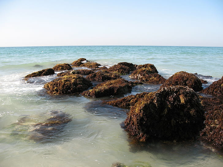 Persian gulf, Uae, Dubai, Sea, Beach, Rocks, Waves, water, land, HD wallpaper