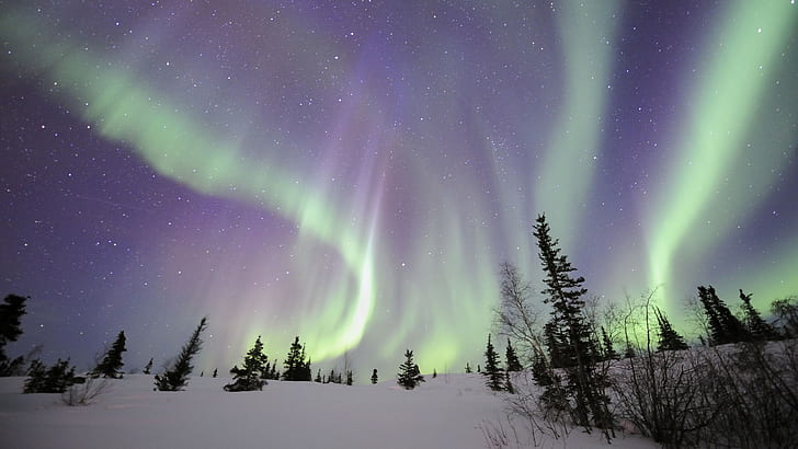 Aurora Borealis Northern Lights Snow Winter Night Stars HD, nature, HD wallpaper