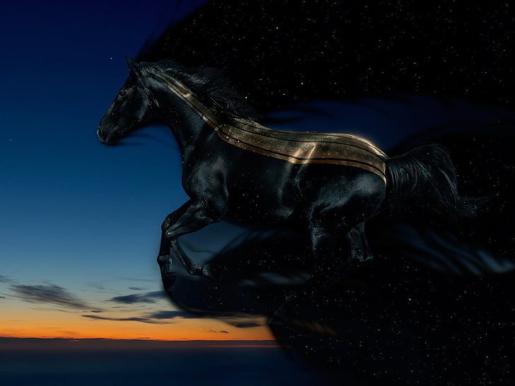 black horse digital wallpaper, sky, flying, space, stars, representation