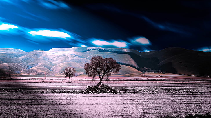 tree on desert painting, landscape, sky, clouds, trees, scenics - nature, HD wallpaper