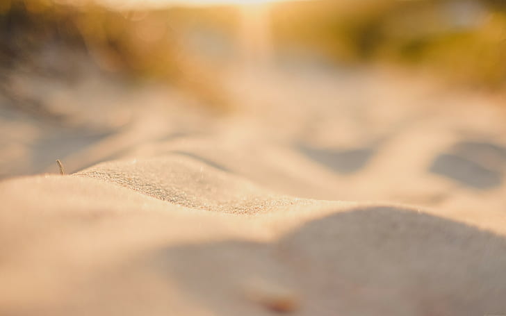 photography, macro, sand, depth of field, sunlight, beige, HD wallpaper