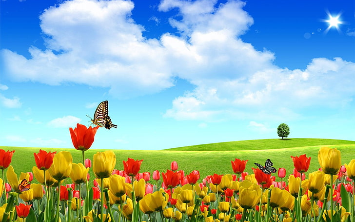 yellow and red petaled flowers, tulips, field, tree, sky, sun