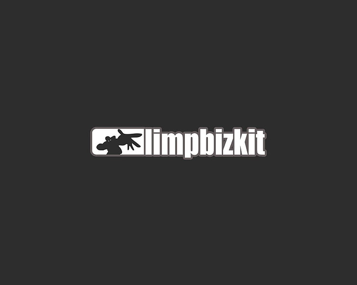 limp bizkit, communication, text, western script, copy space, HD wallpaper