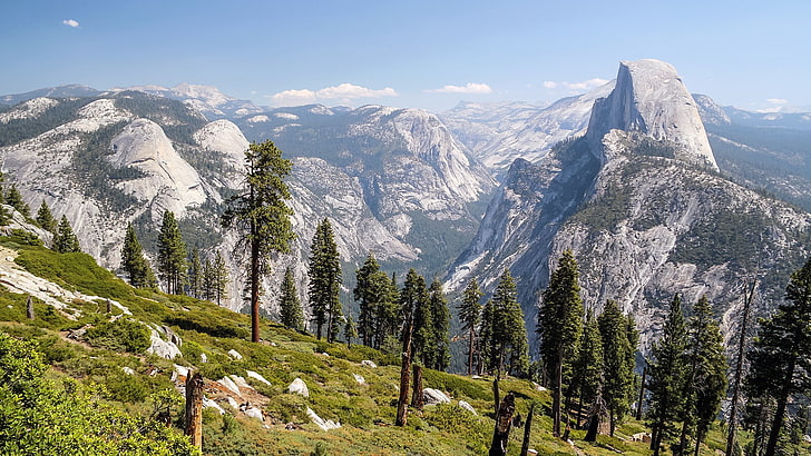 Yosemite National Park, landscape, mountains, trees, nature
