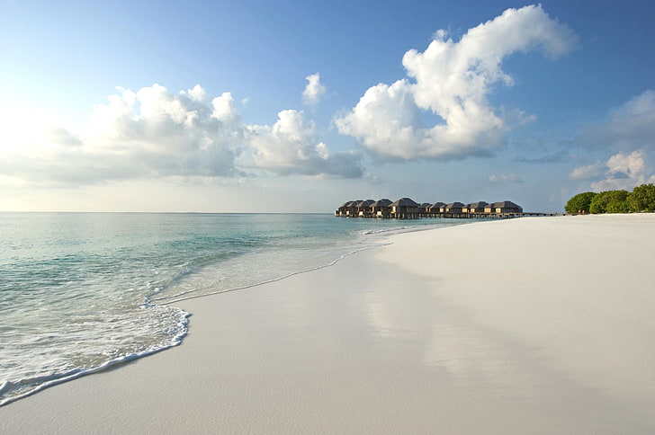 seashore and body of water, maldives, beach, sand, tropics, nature, HD wallpaper