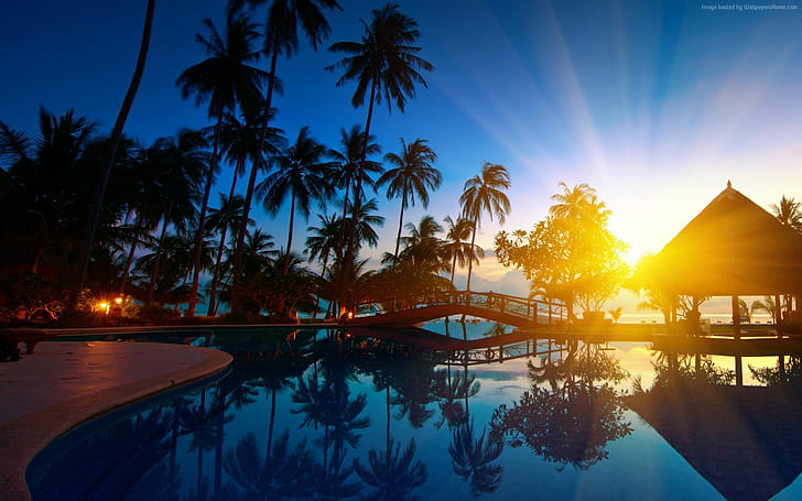 Thailand, swimming pool, resort, palm trees, sun rays, HD wallpaper