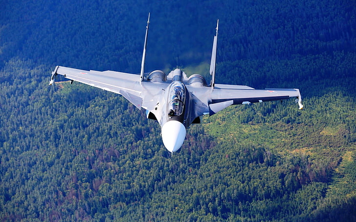 Sukhoi Su-30 Forest, grey fighter jet, Aircrafts / Planes, Military Aircraft, HD wallpaper