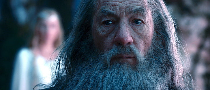 Gandalf, Ian McKellen, movies, The Lord of the Rings, adult, HD wallpaper