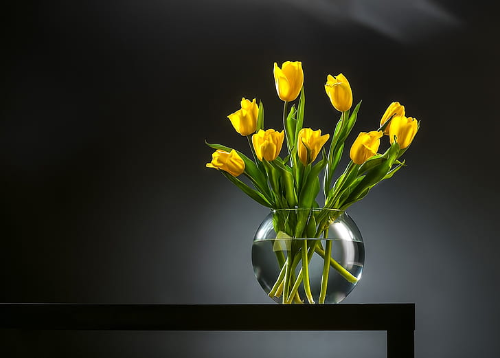 background, bouquet, tulips, vase, buds, yellow tulips, HD wallpaper