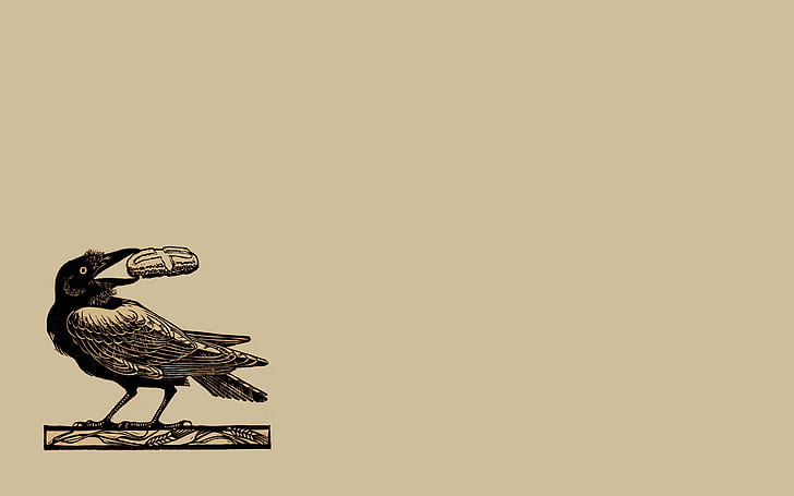 minimalism, animals, simple background, birds, St Benedict's Raven