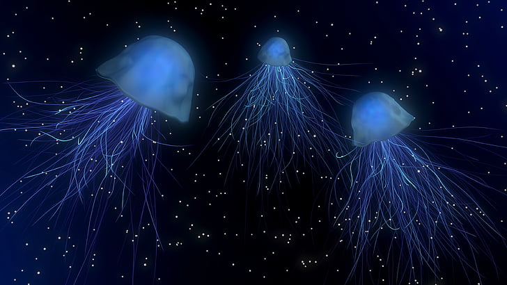 night, blue light, dark, glow, illumination, illuminating jellyfish, HD wallpaper