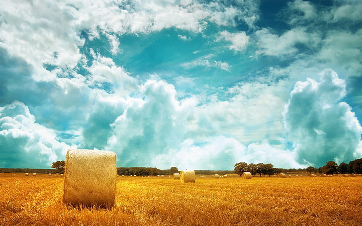 brown haystacks, landscape, nature, sky, field, clouds, cloud - sky, HD wallpaper