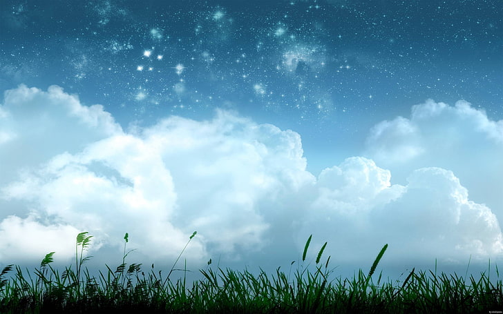 green grass, digital art, plants, space art, sky, clouds, stars