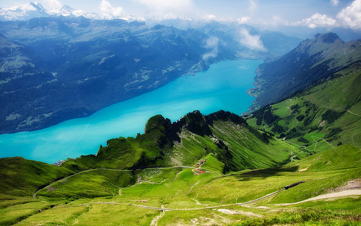 Switzerland, Alps, Rothorn, Lake Brienz, grass, green, HD wallpaper