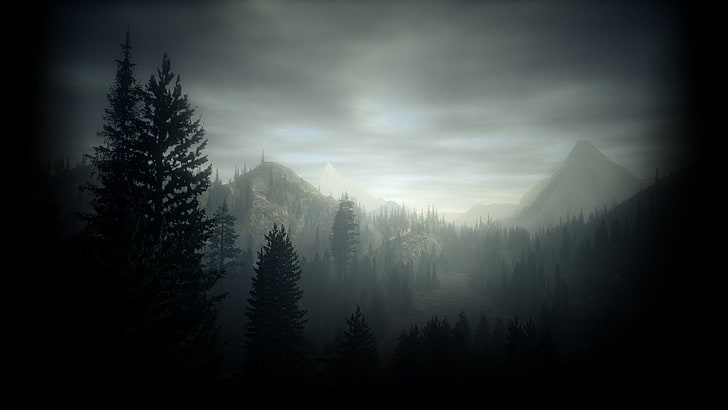 Video Game, Alan Wake, tree, beauty in nature, tranquil scene