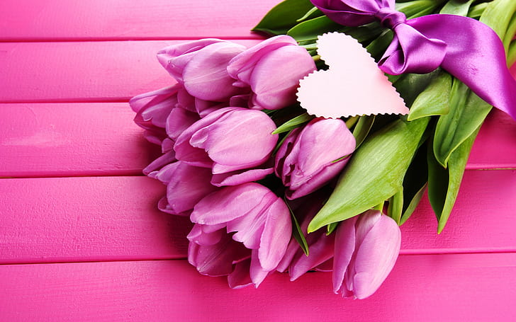 Pink tulips, flowers, ribbon, pink roses, HD wallpaper