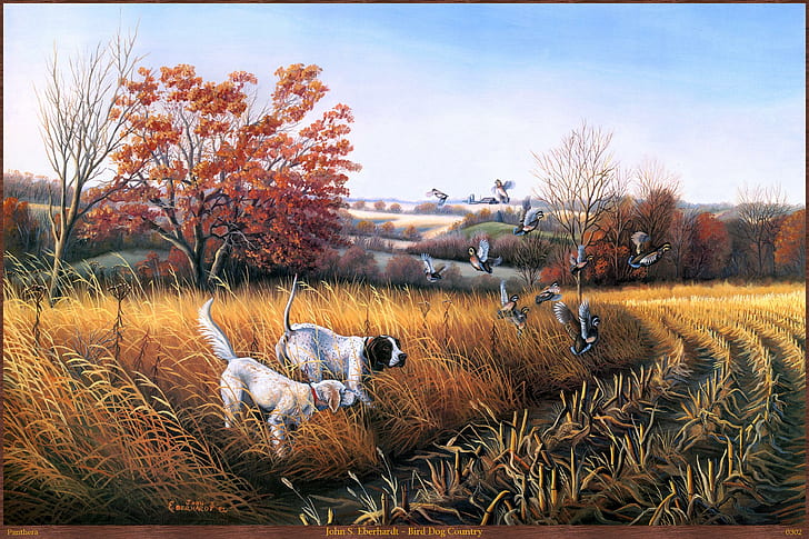 HD wallpaper: John Eberhardt - Bird Dog Country, field, animal, painting,  animals | Wallpaper Flare