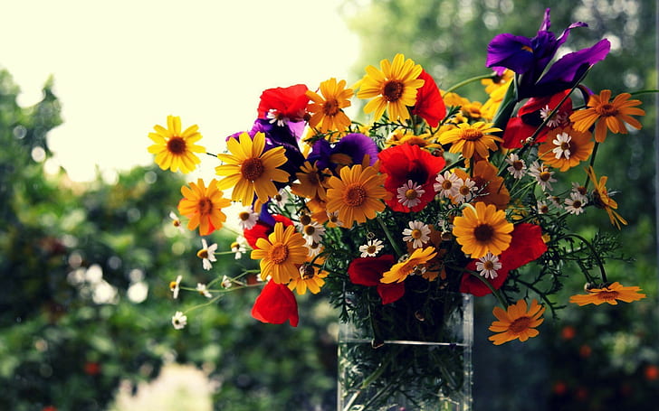 vase, flowers, flower, yellow daisy, bokeh, box, HD wallpaper