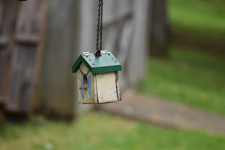bird house, hanging, focus on foreground, no people, close-up