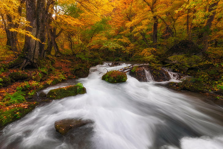river timelapse, Dreaming in Color, Japan, Towada, autumn, colorful, HD wallpaper