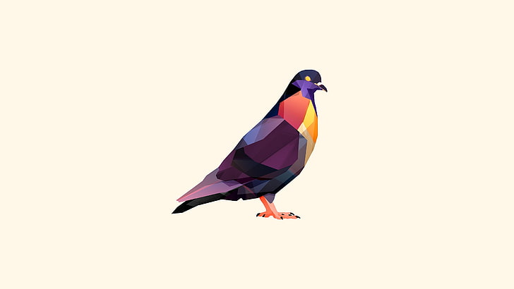 multicolored pigeon vector art, animals, Facets, pigeons, digital art, HD wallpaper