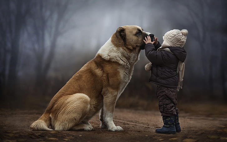 Child with dog, friendship, HD wallpaper