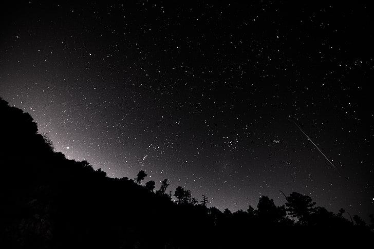 shooting star illustration, landscape, mountains, trees, starry night, HD wallpaper