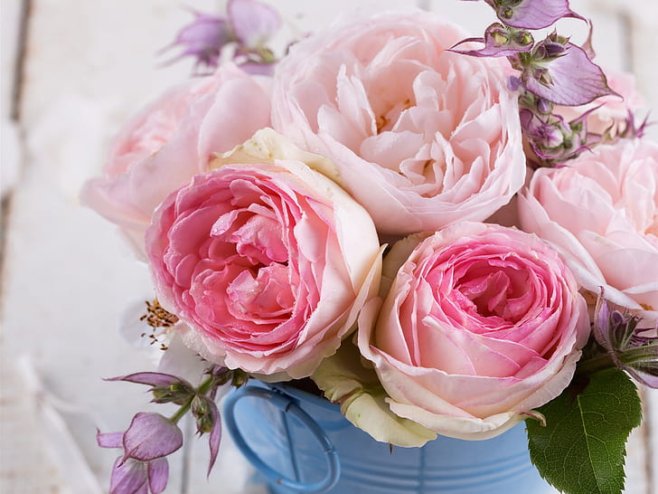 Pink roses, flowers, bouquet, HD wallpaper