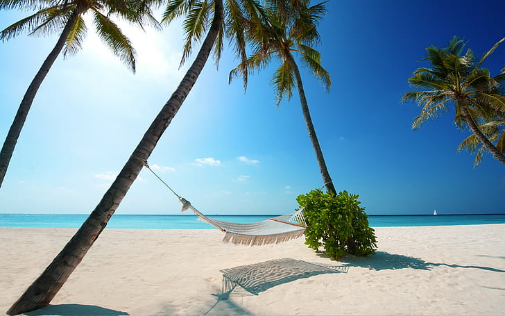 beach, palm trees, sea, landscape, nature, HD wallpaper