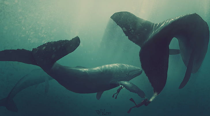 whale, divers, artwork