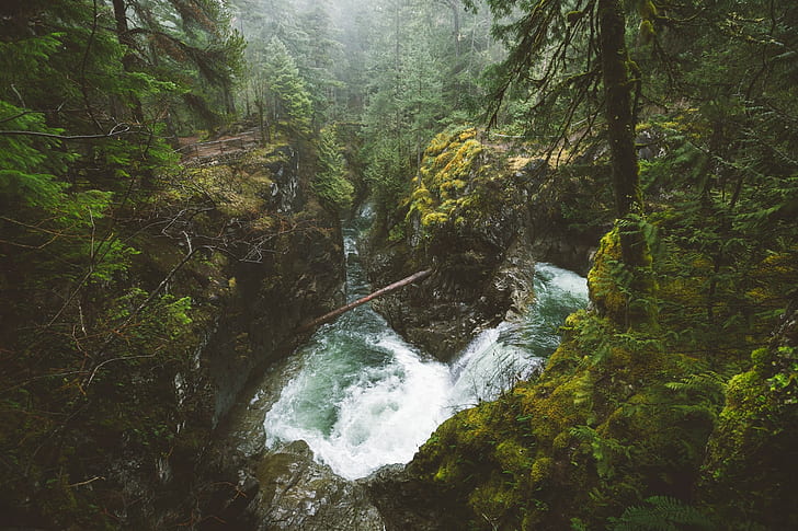 waterfall, mist, British Columbia, shrubs, river, landscape, HD wallpaper