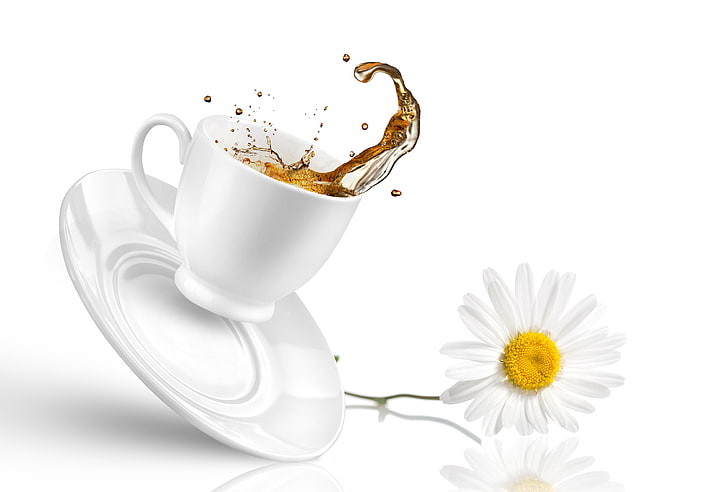 white ceramic teacup and saucer, splash, Daisy, drop, flower