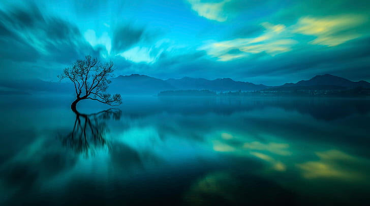 lake, tree, New Zealand, Wanaka