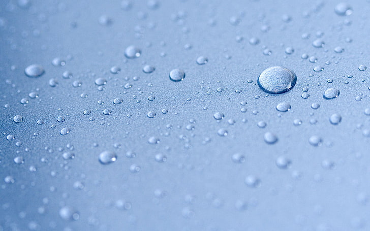 dew, water drops, depth of field, macro, blue, wet, rain, backgrounds, HD wallpaper