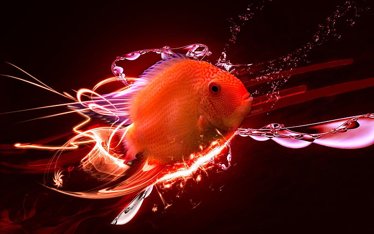fish, tropical fish, colorful, digital art, effects, animal, HD wallpaper